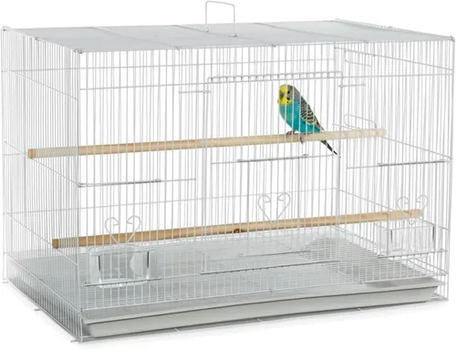Vista 9 de A&E Cage Co 504 - Jaula para pájaros de vuelo para pinzones y periquitos Negro