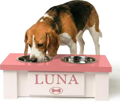 Vista 33 de GTW Soporte de Cuenco Elevado Personalizado para Perros Grandes, Medianos, Pequeños y Extra Pequeños - Cuencos de Acero Inoxidable para Comida