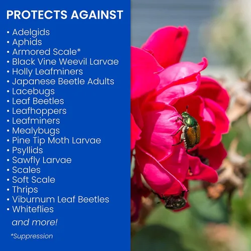 Vista 4 de BioAdvanced 2 en 1 Systemic Rose and Flower Care II, gránulos, 5 libras con insecticida BioAdvanced Rose and Flower, listo para usar, 24 onzas