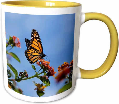 Vista 12 de 3dRose USA, California. Monarch butterfly on lantana flower. 15oz Two-Tone Black Mug