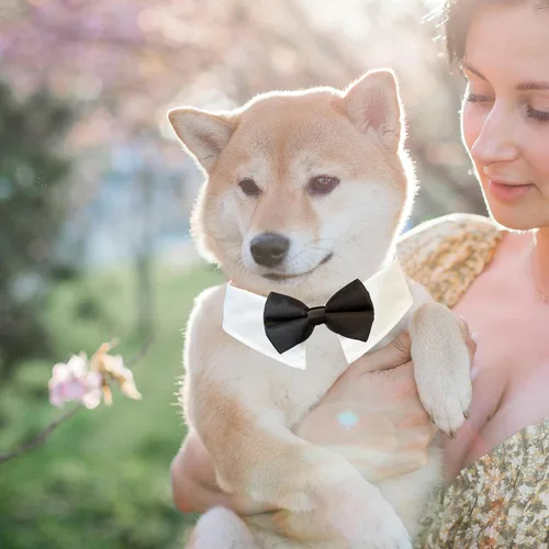 Vista 4 de Pajarita para perro, collar de perro esmoquin de Koolmox para bodas con collar blanco ajustable hecho a mano y corbata negra, corbata clásica