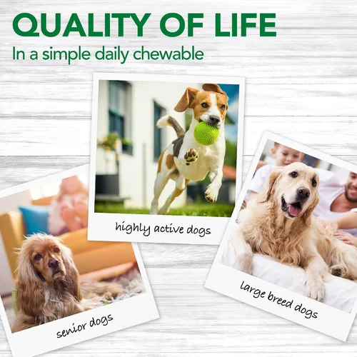 Vista 5 de Suplemento avanzado para caderas y articulaciones de perro Vet's Best, 90 comprimidos masticables