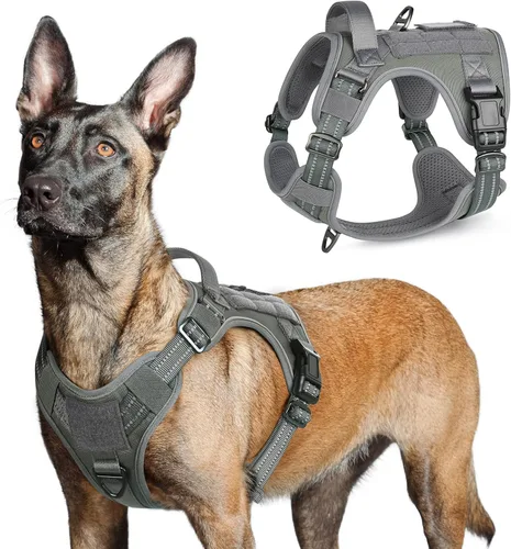 Vista 41 de rabbitgoo Arnés táctico para perros pequeños, chaleco de servicio militar sin tirones con asa y Molle, de fácil control para entrenar y caminar