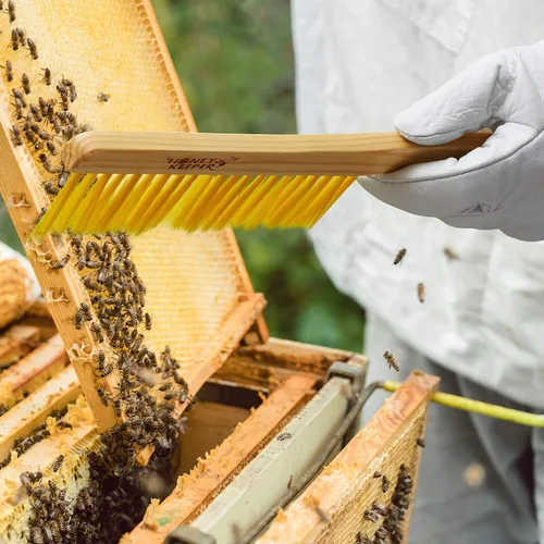 Vista 2 de Honey Keeper Cepillo de colmena de abeja de 14 pulgadas con mango de madera, herramienta de apicultura para apicultores