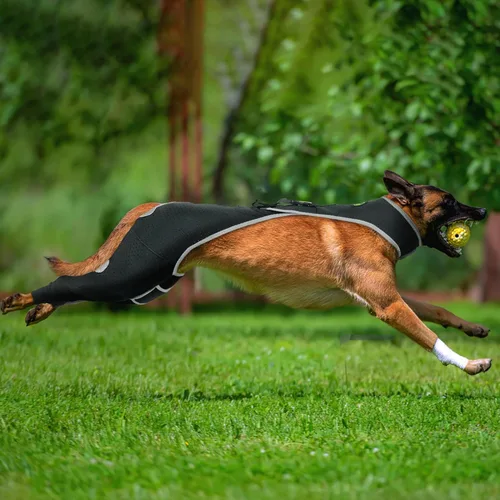 Vista 10 de Codera para perro y pierna delantera para perro para dejar de lamer, protector de codo de perro y coderas de higroma para perros, mangas