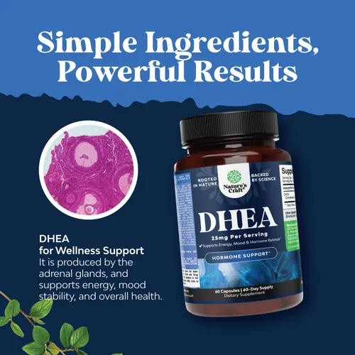 Vista 6 de Suplemento DHEA para mujeres y hombres – DHEA 25 mg por porción cápsulas para el equilibrio hormonal – Promueve la estabilidad del estado de ánimo