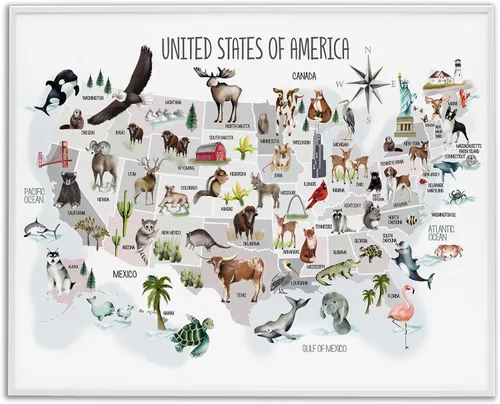 Vista 22 de Estados Unidos de América Mapa de Animales Kid's' Arte Giclée enmarcado Blanco costero (Texturado)