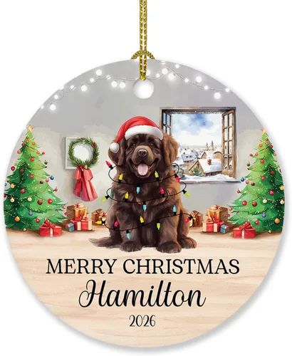 Vista 28 de Adorno personalizado de caniche negro, regalo para perro, mamá, perro, papá, adorno de Navidad único de perro caniche negro 2025, adorno de caniche
