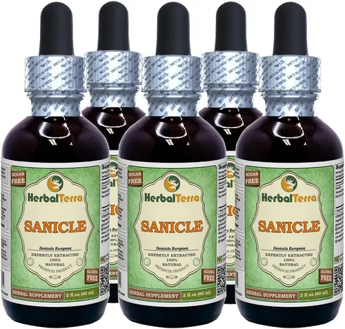 Vista 7 de Herbal Terra Sanicle (Sanicula Europaea) Glicerita, extracto líquido sin alcohol de hierbas secas 2 oz