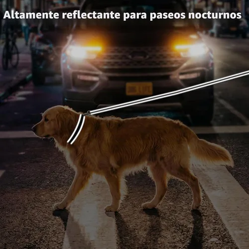 Vista 3 de Joytale Collares para perros personalizados, collar de nailon reflectante con placa de nombre grabada, personalizado para perros pequeños, negro, S