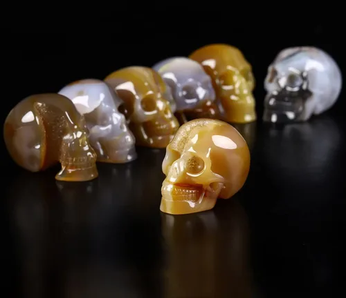 Vista 3 de Skullis 2.0 "ágata geoda cráneo de cristal, escultura de arte fino de piedras preciosas talladas a mano, estatua de piedra curativa de Reiki.1396