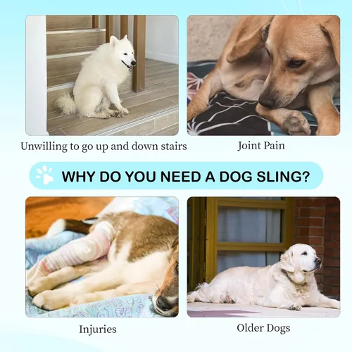 Vista 2 de Arnés de elevación para perros, soporte poscirugía para perros mayores y displasia de cadera, arnés ajustable para perros pequeños, medianos