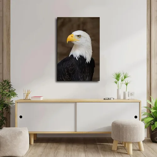 Vista 4 de SinYor Póster de retrato de un águila calva patriótico de Estados Unidos, arte de pared moderno para habitación, sala de estar, baño, cocina