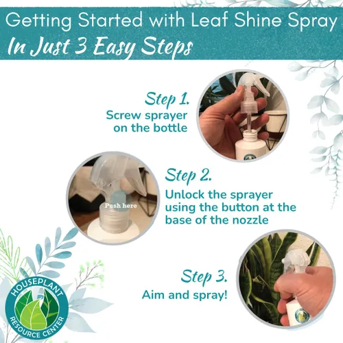 Vista 6 de Houseplant Leaf Shine Spray – Limpiador de hojas totalmente natural y brillo para un brillo saludable y una mejor fotosíntesis Perfecto