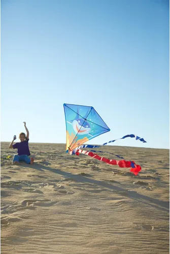 Vista 5 de HQ Cometa de diamantes de 27" de Kites Eddy Sharky
