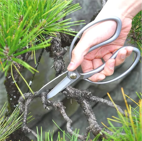 Vista 2 de KAKURI Tijeras de bonsái de hoja larga fabricadas en Japón de 8 pulgadas, hoja japonesa de acero inoxidable, tijeras grandes Okubo