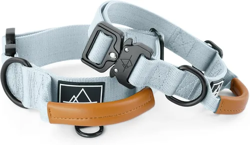 Vista 2 de MADE TO ROAM - Collar Premium Explorer Control, collar ajustable de nailon resistente para perro con hebilla metálica de liberación rápida y mango