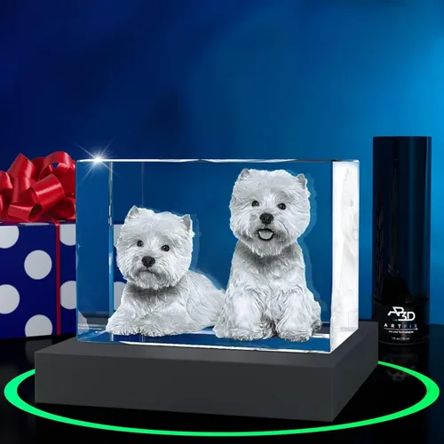 Vista 28 de ArtPix 3D Foto de cristal, regalos personalizados de Navidad para mujeres, esposa, ella, él, hombres, marido, abuela, gran regalo personalizado