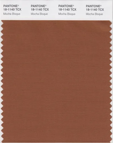 Vista 17 de PANTONE Tarjeta de muestra de color inteligente 18-1314X, bellota