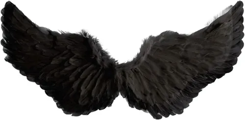 Vista 5 de Angel Wings - Plumas negras para niños alas de ángel para niños adultos cosplay Halloween fiesta regalo de Navidad 16 x 315 pulgadas
