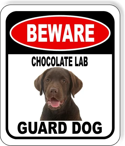 Vista 88 de BEWARE BASSETT HOUND GUARD DOG - Letrero compuesto de aluminio para exteriores, 8.5 x 10 pulgadas CUIDADO BASSETT HOUND GUARD PERRO