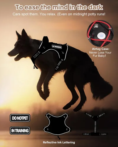 Vista 6 de PETNANNY Arnés táctico para perros