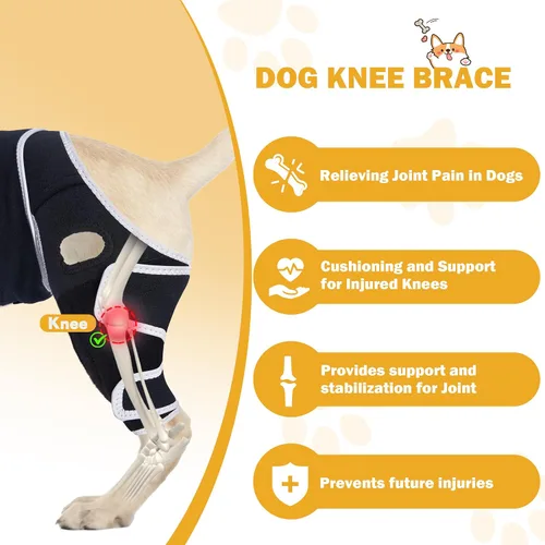Vista 3 de Rodillera para perros con ACL desgarrado, soportes ajustables para patas de perro, soporte de soporte para patas traseras o delanteras, soporte