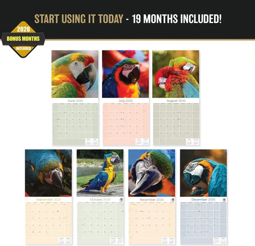 Vista 490 de Calendario de grises africanos 2025 2026 – Planificador mensual de pared de aves africanas – 12 x 18 pulgadas (abierto), calendario de pared