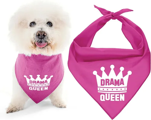 Vista 40 de Parisian Pet Bandanas naranjas para perros – Bandana ajustable para cachorros – Accesorios para perros para niños y niñas – Pañuelo para perros Best