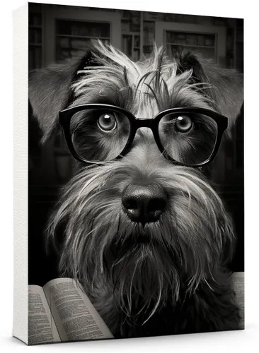 Vista 148 de Thuan Affenpinscher - Póster de lienzo con tus fotos, arte de pared para decoración del hogar, regalo conmemorativo para amantes de las mascotas