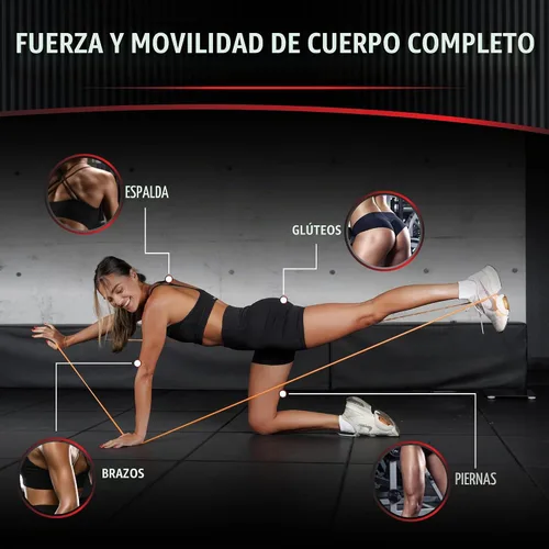 Vista 5 de 4KOR - Banda de resistencia de 41 pulgadas, paquete de 2 bandas de ejercicio de 5 a 15 libras con un estiramiento satisfactorio de látex de Sri