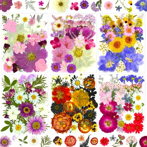 Vista 9 de 92 hojas de flores secas prensadas para moldes de resina, manualidades de bricolaje