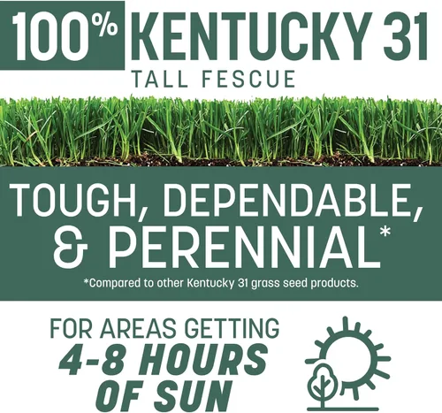 Vista 2 de Pennington Kentucky 31 Semilla de Césped Festuca Alta Penkoted 7 lb