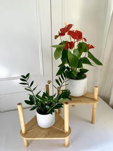 Vista 2 de Soporte ajustable para macetas de interior – Madera de bambú, altura y ancho ajustable (no necesita herramientas), se adapta a macetas pequeñas