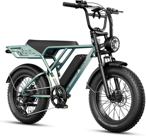 Vista 12 de Jasion RetroVolt Pro Electric Bike,52v 20Ah,90-Mile Range,38MPH,Fat Tire Pavonado