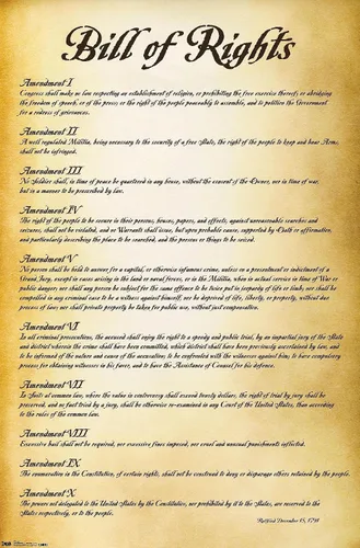 Vista 9 de Trends International The United States of America - Póster de pared de Carta de Derechos, 14.725 x 22.375 pulgadas, versión enmarcada de madera