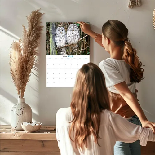 Vista 670 de Calendario de grises africanos 2025 2026 – Planificador mensual de pared de aves africanas – 12 x 18 pulgadas (abierto), calendario de pared