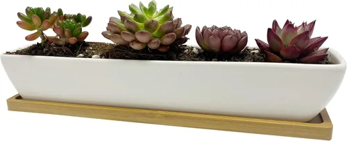 Vista 9 de Sea Star - Maceta moderna rectangular minimalista de cerámica blanca de 10 pulgadas para plantas suculentas para oficinas, escritorios, ventanas
