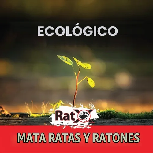 Vista 6 de Ratx Carnada para ratas