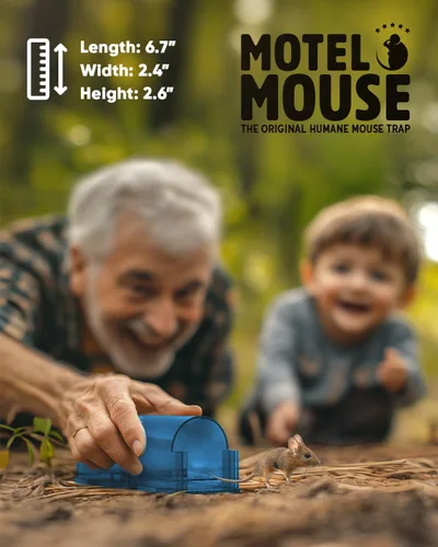 Vista 5 de Trampas para ratones Motel Mouse humanas sin matar, captura viva y liberación, reutilizables con cepillo de limpieza - Paquete de 4 Azul