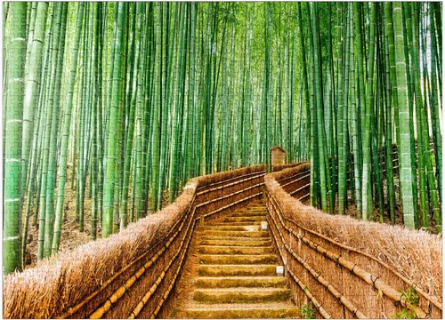 Vista 9 de MyPuzzle Kyoto Japan in Bamboo Forest - Rompecabezas prémium de 100 piezas para adultos