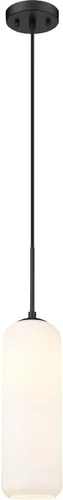 Vista 11 de Z-Lite 1 Colgante de luz 732P22-BN