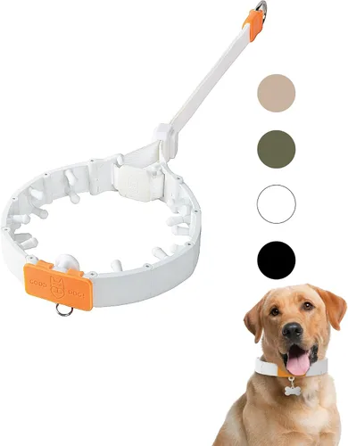 Vista 10 de SVD.PET Collar de punta para perro para entrenamiento sin tirones, hebilla de liberación rápida ajustable para perros pequeños