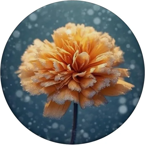 Vista 3 de Marigold Flower Frozen PopSockets Adhesive PopGrip