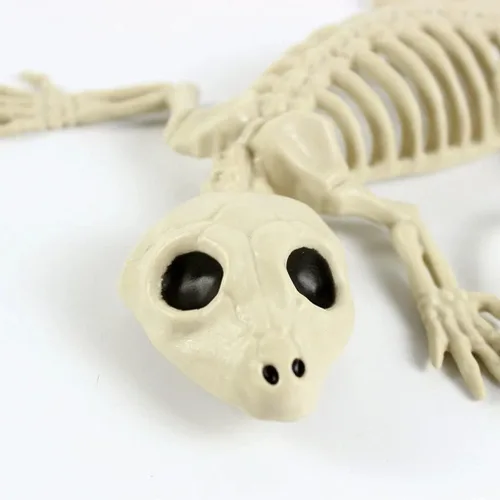 Vista 3 de 1 pieza de esqueleto de Halloween, esqueletos de Gecko de plástico, modelo para decoración de Halloween, accesorios aterradores de terror