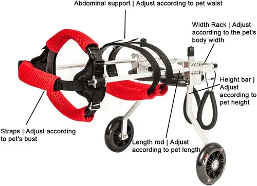 Vista 7 de Silla de ruedas para perros, ruedas ajustables para ejercicios de animales, silla de ruedas para mascotas para discapacitados, patas traseras