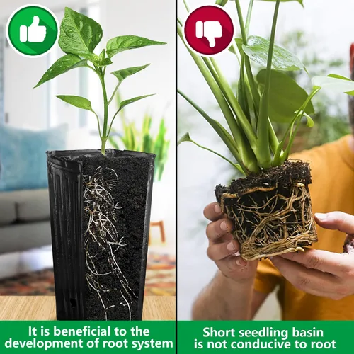 Vista 4 de RunNico 50 piezas de macetas de plástico profundas para vivero, macetas de árbol de 30 cm de alto, macetas de contenedor de plántulas negras