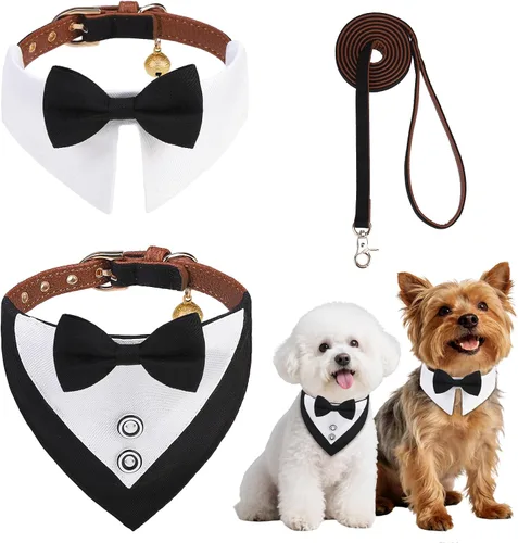 Vista 8 de BINGPET Juego de collar y correa para cachorro con pajarita, pañuelo a Beige