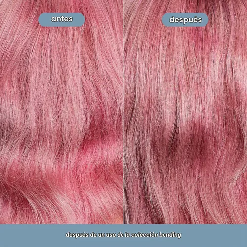 Vista 6 de VERB Champú Bonding de 12 fl oz Lavado fortalecedor del cabello para todo tipo de cabello