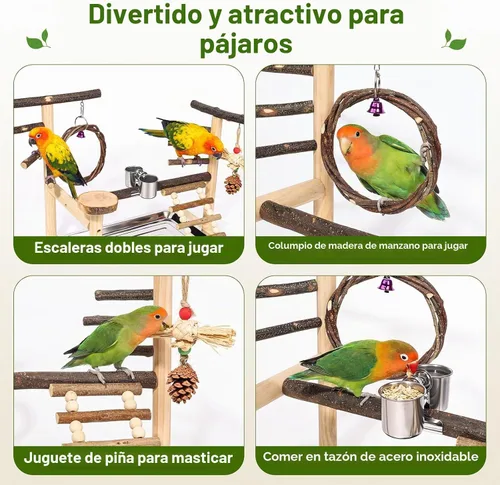 Vista 3 de Soporte de loro de madera para pájaros pequeños a medianos